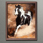 Painting by Numbers Horses Black White Horse